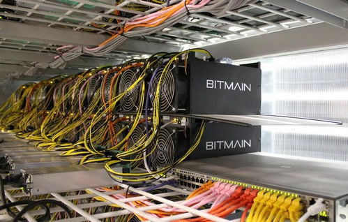 Large scale cryptocurrency mining farm with mining machines