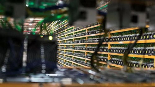 A view of a large-scale crypto mining farm